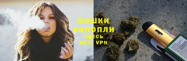 мяу мяу мука Бородино