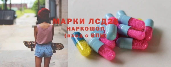 мяу мяу мука Бородино