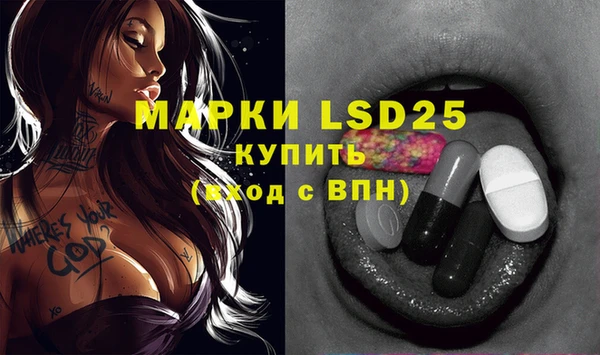 мяу мяу мука Бородино