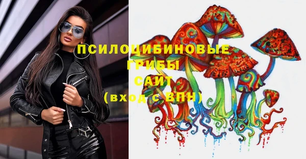 мяу мяу мука Бородино