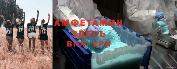 мяу мяу мука Бородино